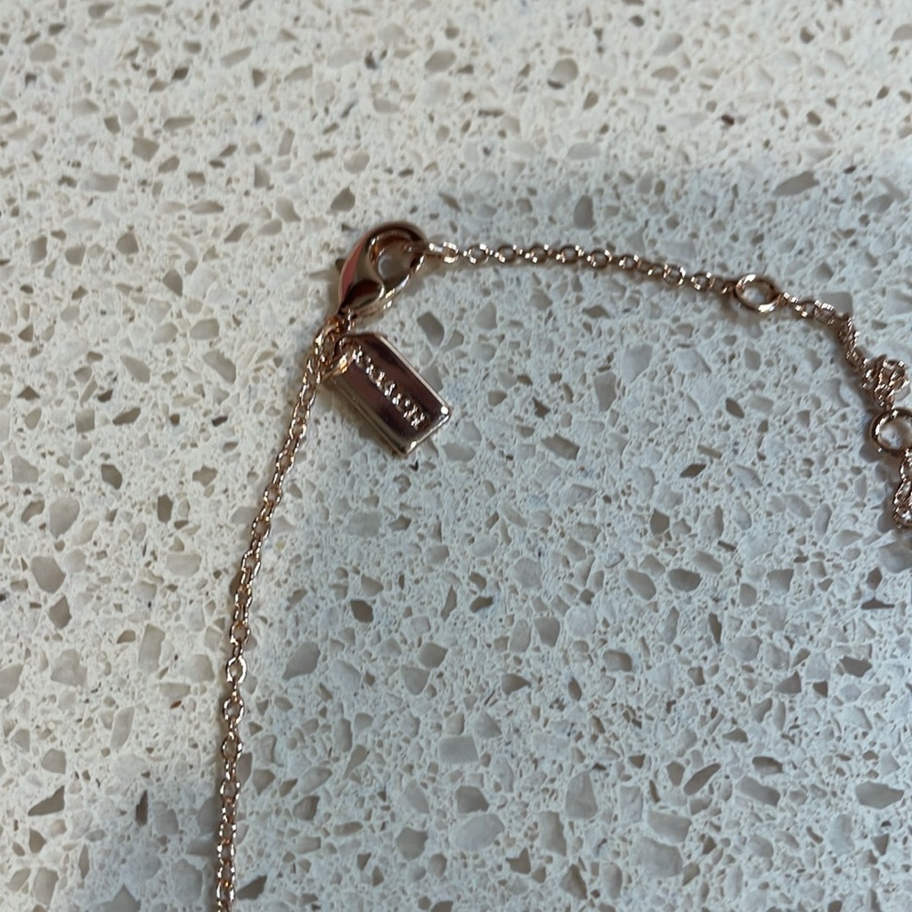 Coach NWT Rose Gold Floral Earrings and Necklace Set - Picture 5 of 5